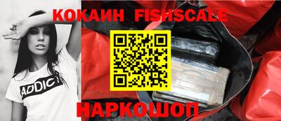 амф Гусев