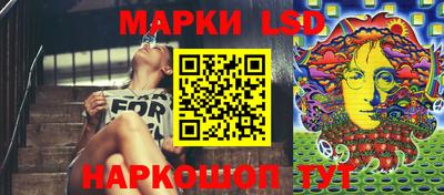 амф Гусев