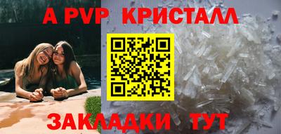 амф Гусев