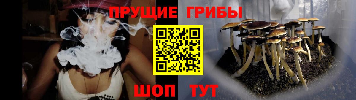 Мариинск  Псилоцибиновые грибы Magic Shrooms  Вход с VPN 