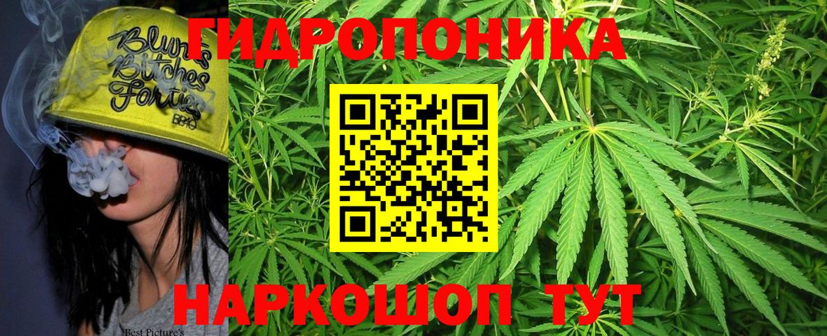 Каннабис индика  Бошки Шишки конопля  Мариинск  Вход с VPN  МАРИХУАНА SATIVA & INDICA 